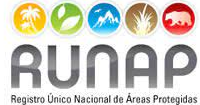RUNAP RUNAP