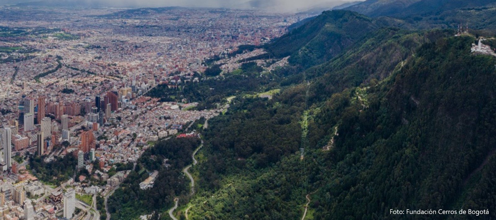 Fundación Cerros de Bogotá Fundación Cerros de Bogotá