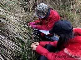 images (1) images (1)
