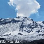 pnnloa nevados