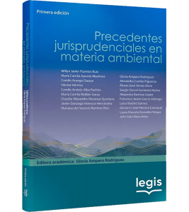 Precedentes_jurisprudenciales