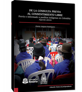 de la consulta previa