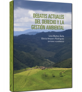 debates actuales1