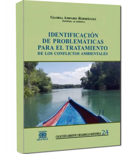 identificacion de problematicas