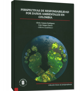 perspectiva de