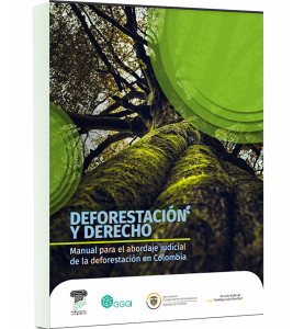 deforestacion y derechos ambientales 2023